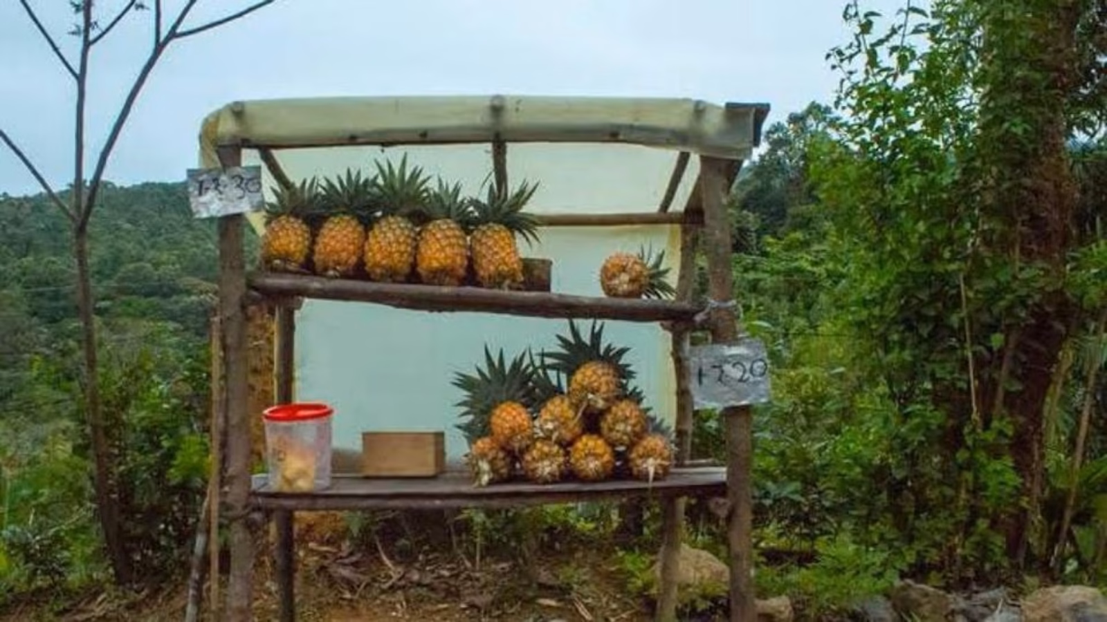 Shops Without Shopkeepers: বিশ্বাসে মিলায় বস্তু… এই শহরে চলছে দোকানি ছাড়াই দোকান 1 shops without shopkeepers